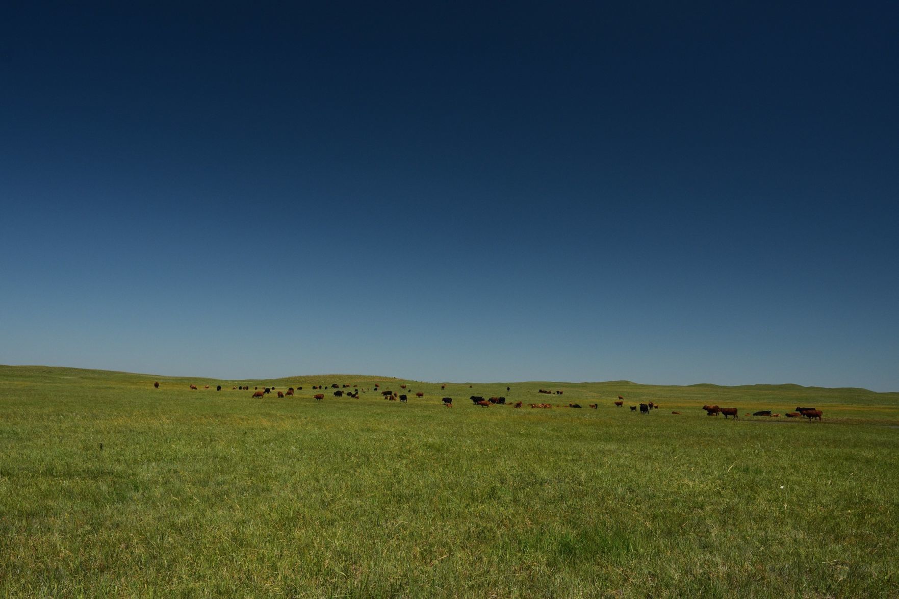 20190714_new_sandhills_pic12